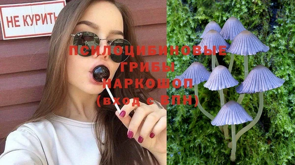 спиды Волоколамск